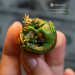 Baby Dragon Sleeping on Coins, Cute Monitor Sitter, Green Dragon, Fantasy Table Figure