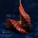 Red Dragon Horns — Cosplay Headpiece