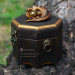 Dragon Treasure Chest, Fantasy Wooden Box