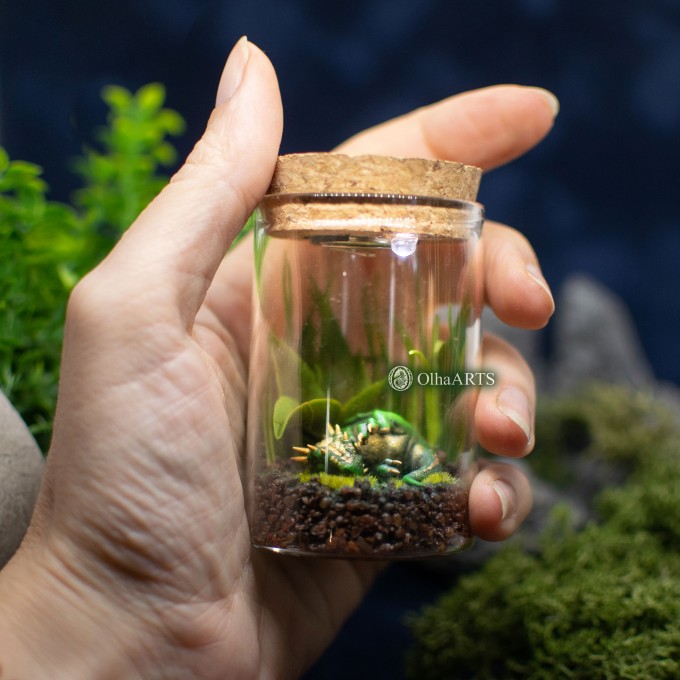 Small terrarium with a cute sleeping dragon